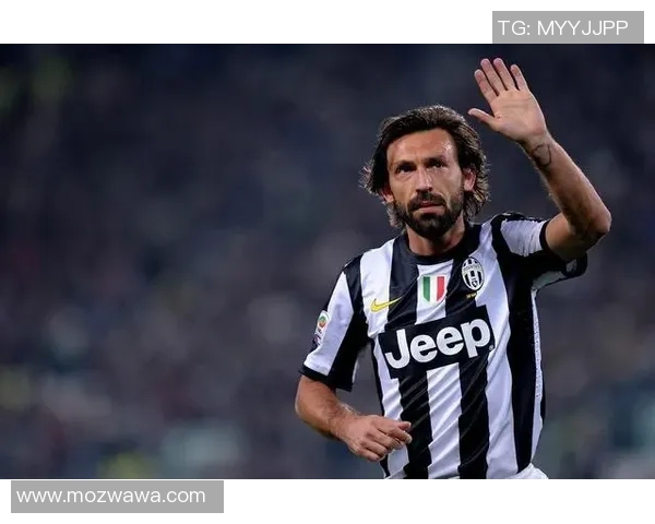 神奈川足球球星的辉煌历程与成就探索 神奈川足球球星的辉煌历程与成就探索