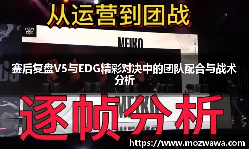 赛后复盘V5与EDG精彩对决中的团队配合与战术分析